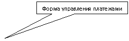 Rectangular Callout: Форма управления платежами